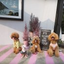 미르빈카페 네이버블로그