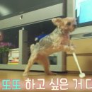또또오래