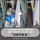 천연동주민센터 | 부천폐기물 이사쓰레기 대형폐기물 깔끔하게 처리하려면?[ 부천.인천.시흥.김포.일산.광명.안산.안양...