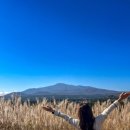 무림공인중개사사무소 이미지