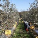 인주면 행정복지센터 이미지