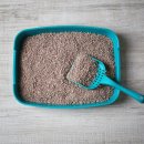 내방동물병원 이미지