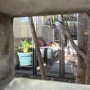 시바나라 | #5 [나가사키 여행]_12월 중순에 간 시마바라성, 기념품, 세 마리의 시바견