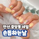 중앙동132 | 안산 중앙동 네일샵 추천 손톱하는날 위치 가격 시간 젤 후기