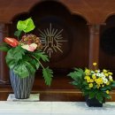 성현동-26 이미지