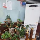 청목초등학교 이미지