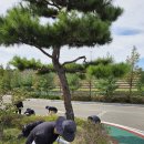 하늘마루 이미지