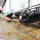 즐거운목장 이미지