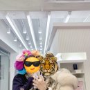 나무도마바이헤이진 이미지
