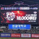 수원 KT위즈파크 중앙지정석 316구역 6열 시야 직관 후기 🧙🏻‍♂️⚾️