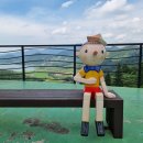 초록잎이 펼치는 세상 이미지