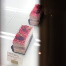 광명 디저트 카페 &#39;바닐라크레뮤&#39; 까눌레 맛집 후기
