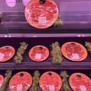 삼호한우농장 이미지