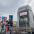 도쿄는 서울보다 많이 따듯해? 이미지