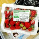 매골농장 이미지