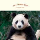 일상을 기록하는 포토에세이 | [독서] 말괄량이 푸바오의 포토 에세이, 푸바오 매일매일 행복해