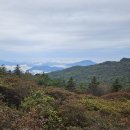 지리산 성중종주(성삼재~반야봉~천왕봉~중산리)2