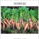 타조의방