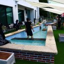 멍스타애견 이미지