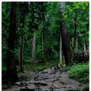 오솔길 이미지