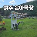 은아농장 | 여주 은아목장 체험 농장 밀크도우피자만들기 아이스크림만들기 동물 먹이주기 당근주기 목장체험