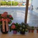 진마트 이미지