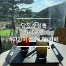 쿠키굽는고양이 | 당진 수청동 고양이 상주 대형카페 카페로우 애견동반카페