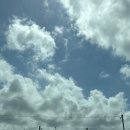 하늘을 품은 사슴 이미지