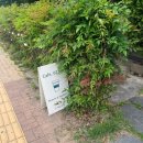 카페07에이엠 이미지