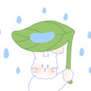 경산수타손짜장 이미지