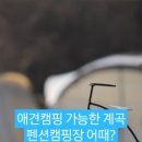 캠핑포유펜션 이미지