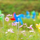 바람개비 이미지