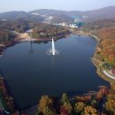 분당-388 이미지