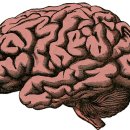 김포에이치(H)병원 이미지