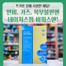 은혜가스 | 변비·가스·복부 불편엔 네이처스팜 비피스앤! 균주·기능·영양 정보 완벽 분석✨
