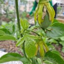 설봉경로당 이미지