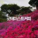 대구 팔공산 가볼만한곳 드라이브 갈만한곳 카페 굿테이스트커피