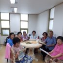 금락경로당 Daum카페
