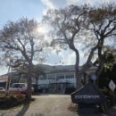 더본감자탕 홍성점 이미지