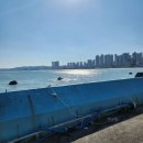신명낚시 | 경주 아이와 가볼만한 곳 신명방파제에서 낚시 겸 캠핑하고 온 후기