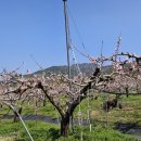 한은농장 이미지