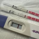 [임신준비12] 드디어 테스트기 두 줄을 보다..! 처음 느껴본 증상들! 하지만 결국 화유 엔딩