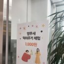 하버드앵무새카페 이미지