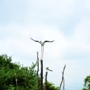 산수가든민박 이미지