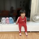 캣블라썸 이미지