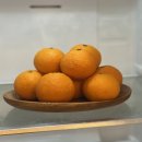 스테이 소그락 이미지