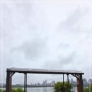 뚝섬한강공원-87 이미지