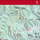 울산수목원 티스토리