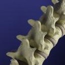 연세광혜병원 이미지