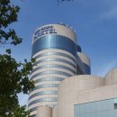 달서권투 이미지